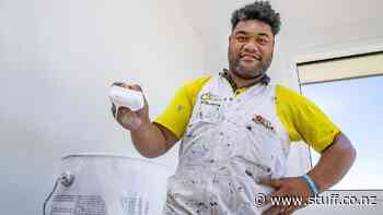 Manawatū painter named Apprentice of the Year - Stuff