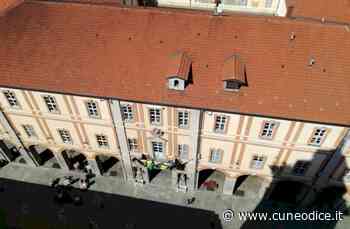 Cuneo, la tutela e il benessere degli animali verranno inseriti nello Statuto Comunale? - Cuneodice.it