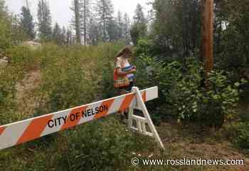 Invasive species: Nelson to increase penalties and education – Rossland News - Rossland News