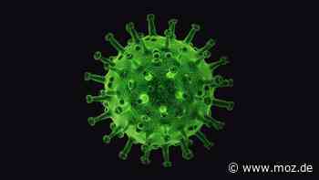 Corona im Havelland: Inzidenz zwischen Falkensee und Rathenow weiter über 1000 - aber weniger Intensiv-Patienten - Märkische Onlinezeitung