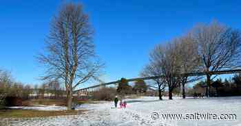 HIKING NOVA SCOTIA: Seaview Park Trail was just what the doctor ordered - Saltwire