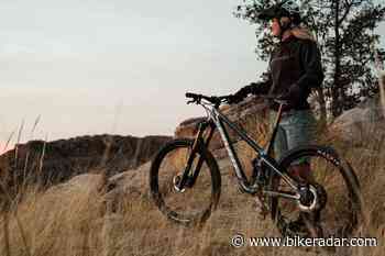 The Pivot Shadowcat trail bike is poised to be a genre-blending quiver-killer - BikeRadar