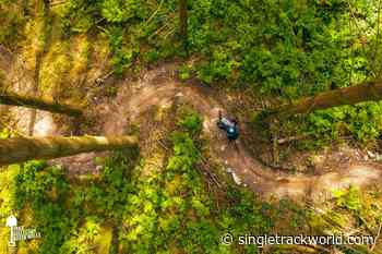 Trail Collective North Wales aims to make trails legit - Singletrack Magazine
