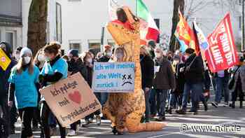 Ukraine-Krieg: 1.200 Menschen bei Mahnwache in Stade - NDR.de
