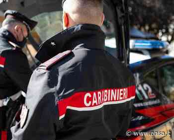 Da Bari in Brianza per accoltellare la moglie, arrestato - Agenzia ANSA