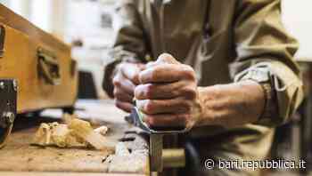 Bari, zona Santa Caterina: 24 lotti liberi saranno aggiudicati dal Comune. "Già tante richieste" - La Repubblica