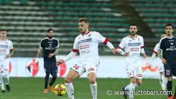 Dieci... giocatori mandati in prestito dal Bari: da De Risio a Mercurio, ecco come stanno andando - BARI CALCIO