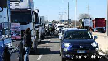 Bari, la rabbia di agricoltori e pescatori: "Fermate le speculazioni sui prezzi". Si spegne la protesta degli autotrasportatori - La Repubblica