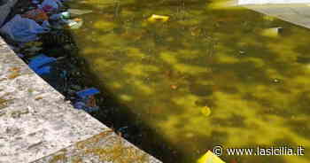 Catania: vergognosa immagine della fontana al centro storico - La Sicilia