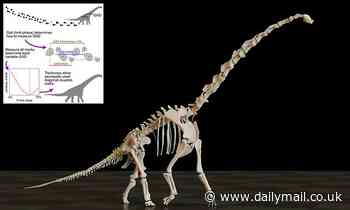 Long-necked dinosaurs 'walked more like hippos', study says