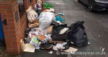 Hull named as 13th dirtiest city in the UK - Hull Live