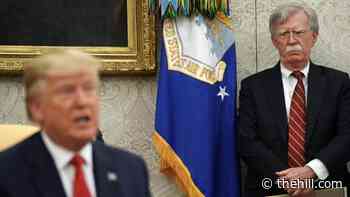 National security staffer allegedly pushed out during Trump administration rehired