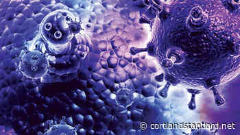 Coronavirus briefs 3/3 – Cortland Standard - Cortland Standard
