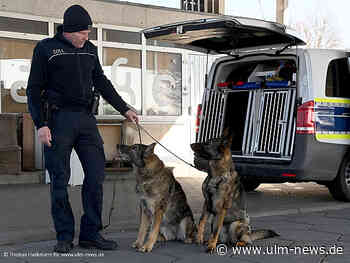 Vicky geht mit 13 Jahren in den Ruhestand