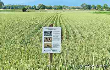 Umbau der Landwirtschaft: Bauern zwischen Wunsch und Wirklichkeit - Passauer Neue Presse - PNP.de