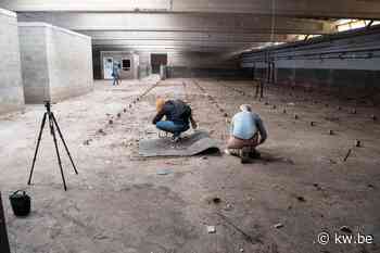 Fotografen zij aan zij in verlaten slachthuis in Izegem - KW.be - KW.be