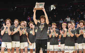 Boys basketball: Botkins rips Ripley Union, wins 2nd straight district title - sidneydailynews.com