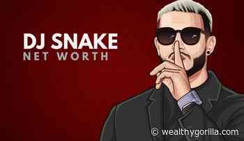 DJ Snake's Net Worth (Updated March 2022) - Wealthy Gorilla