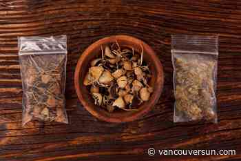 Calgary Co-op to carry products derived from medicinal mushrooms - Vancouver Sun