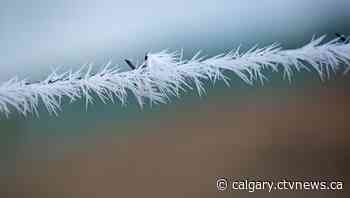 CTV Calgary weather for Thursday, March 3 | CTV News - CTV News Calgary