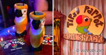 A tropical new popup bar just opened in Calgary & it’s a ‘spirited’ winter escape - Curiocity