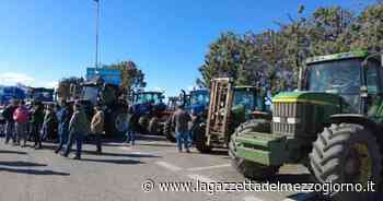 Matera, trattori in strada contro il caro-carburante - La Gazzetta del Mezzogiorno