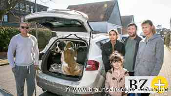 Flucht vor dem Krieg mit Hund und Katz’ – bis nach Braunschweig