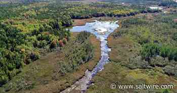 Significant land donation near Amherst, protects 397 hectares on the Chignecto Isthmus - Saltwire