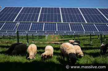 Amherst rejects solar farm moratorium - MassLive.com