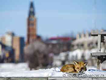 Belleville highlighted in Business View Magazine - Belleville Intelligencer