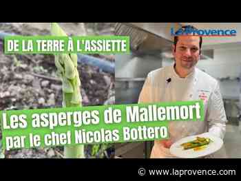 De la terre à l'assiette : l'asperge de Mallemort cuisinée par le chef Nicolas Bottero - La Provence