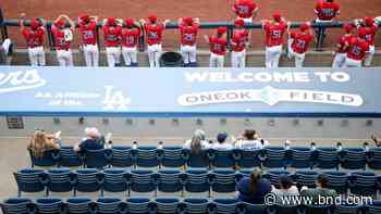 Minor league baseball, hockey teams seeking COVID-19 relief - Belleville News-Democrat