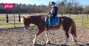 Therapeutisches Reiten in Lampertheim-Hüttenfeld - Echo Online