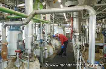 Quereinsteiger willkommen - Lampertheim - Nachrichten und Informationen - Mannheimer Morgen