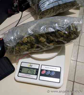 Casal é flagrado com quase meio quilo de skunk em Imbituba - Engeplus.com.br