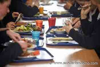 SHARON HODGSON: A child’s access to healthy food should not be quibbled over - Sunderland Echo