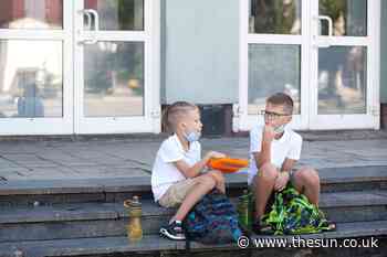 Teachers slammed me for packing ‘too much food’ for my son’s lunchbox but he’s a growing boy & eats it all... - The Sun