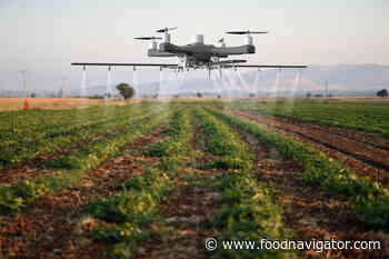 Risks of using AI to grow our food 'poorly understood' and 'under-appreciated' - FoodNavigator.com