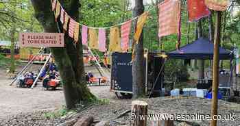 Street Food Circus' seaside forest food pop-up is back this Easter - Wales Online