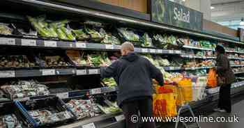 All the ways you can help people struggling to afford food in Wales as the cost of living goes up - Wales Online