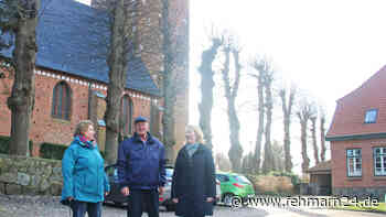 Wer will mitmachen? Bio-Wochenmarkt in Burg auf Fehmarn soll im Mai starten - fehmarn24.de