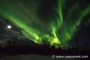 Beautiful Aurora Triggers Nest Doorbell Camera, Captures Light Display on Film - Newsweek