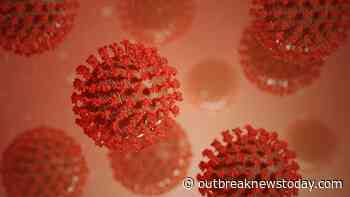 Coronavirus infects penis, testicles and prostate in monkeys: Northwestern study - Outbreak News Today - Outbreak News Today