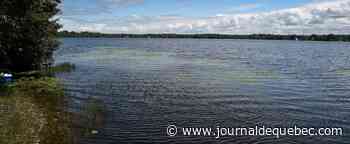 Protection de l’eau potable: Québec s’associe à Canards Illimités pour acheter 153 hectares de terrain