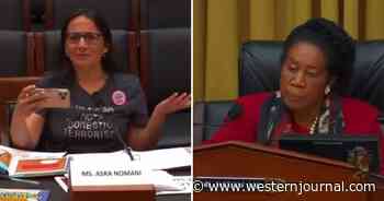 Democratic Rep Tries to Bully Mom Mid-Hearing, Gets Response She Didn't Want
