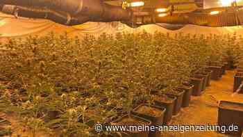 Polizei entdeckt riesige Cannabis-Plantage in Wohnhaus