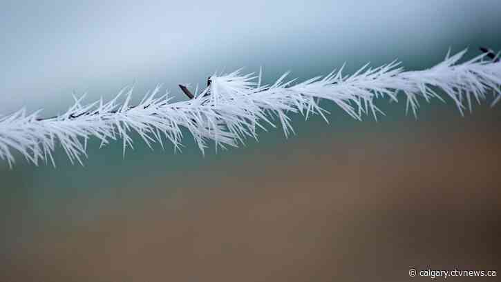 Afternoon Update: More snow to come overnight in Calgary