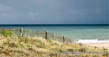 The Great Nantucket Sea Serpent Hoax - Lethbridge News Now