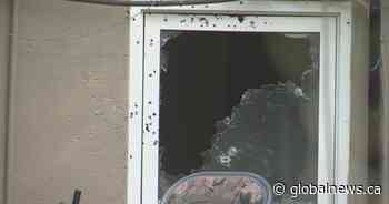 North Lethbridge home damaged in shooting - Global News