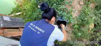 Capivari de Baixo: 1º foco do ano é encontrado no bairro Vila Flor - Notisul